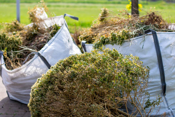 Best Furniture Removal  in Robinwood, MD